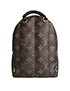 Louis Vuitton Mini Palm Springs World Tour, back view
